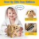 thumbnail image 5 of Plush Golden Retriever Toy Interactive Puppy Walking Barking Tail Wagging Stretching Companion Animal for Kids Toddlers Fun Electronic Toy, 5 of 5