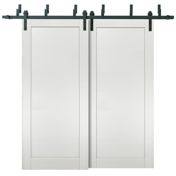 Barn Bypass Doors 48 x 80 with 6.6ft Hardware