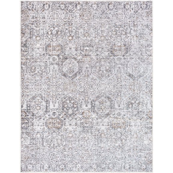 Livabliss Washable Rugs for Living Room, 5x7 Vinny Traditional Light Gray Area Rug, Bedroom Dining Room Home Decor Stain Resistant Carpet (5'3" x 7')
