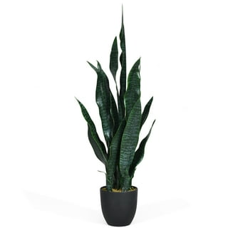  HOMSFOU Decorative Plants Fake Sansevieria Ornaments Faux  Potted Plant Desktop Adornments Faux Plant Faux Snake Plant Fake Plants  Fake Plant Decors Accessories Glue Leaves Indoor : Grocery & Gourmet Food