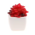 thumbnail image 1 of Surtido 4 Unids En Maceta Artificial Suculentas Plantas Soporte De Exhibición Ornamento Boda Decoración Hogar Centro 1 Soledad Plantas suculentas artificiales, 1 of 10