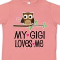 thumbnail image 4 of Inktastic My Gigi Loves Me Girl Owl Girls Toddler T-Shirt, 4 of 5
