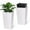 White, variant on Gaderth 30 Inch Tall Planters Set of 2,Large Modern Plant Pots with Drainage Holes＆Water Level Monitor＆Wheels Outdoor and Indoor for Patio, Porch, Living Room, or Home Office