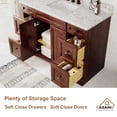 thumbnail image 5 of Boyel Living 48 inch Bathroom Vanity Marble Counter-Top Ceramic Basin Antique Brown Solid Wood Bathroom Cabine, 5 of 5
