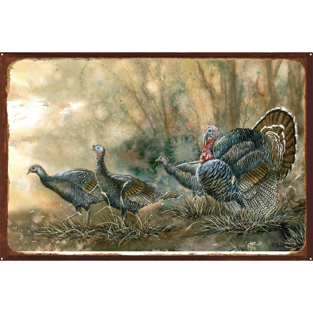 Cottonwood Courtship Wild Turkeys Rustic Metal Art Print By Dave