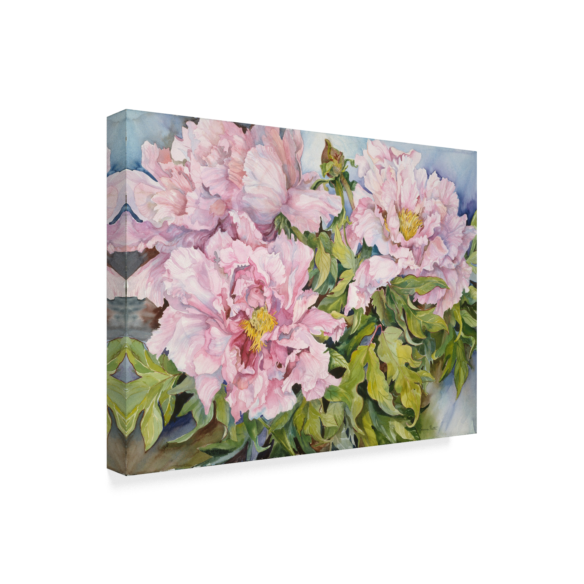 Trademark Fine Art 'Peonies Pink' Canvas Art by Joanne Porter