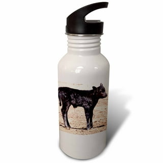 XccMe Cow Print Water Bottle,22 oz Gym Water Bottle for Women,Men,Stainless  Steel Water Bottles Insu…See more XccMe Cow Print Water Bottle,22 oz Gym
