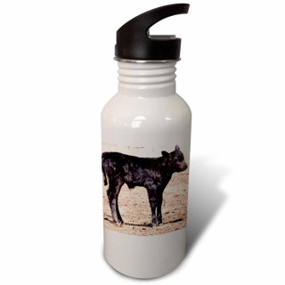 Weboia Cow Print Sport Water Bottle with Straw 4 Lids,Birthday