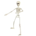 thumbnail image 3 of Sunstar 19 in Halloween Poseable Skeleton, 3 of 4
