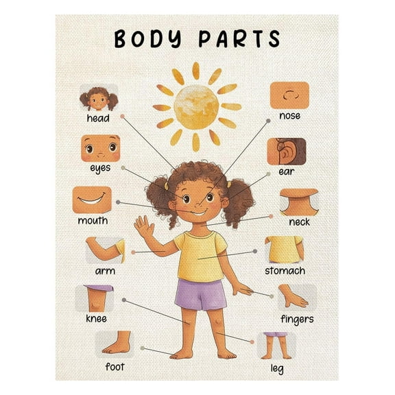 Body Parts Poster, Body Parts for Kids, Body Educational Learning Posters Body Parts Learning Wall Chart for Kids, Kindergarten Teaching Supplies, Classroom Poster for Bulletin Board Decor(Girls)