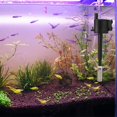 thumbnail image 4 of Aquarium Intake Filter Media Cover Stainless Steel Mini Mesh Guard For Shrimp-S-(Aimia), 4 of 5