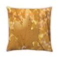 thumbnail image 2 of Ahgly Company Color Focus Yellow Outdoor Throw Pillow, 18 inch by 18 inch, 2 of 6