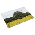 thumbnail image 3 of Print: Rural Alabama Scene, 2010, 3 of 4