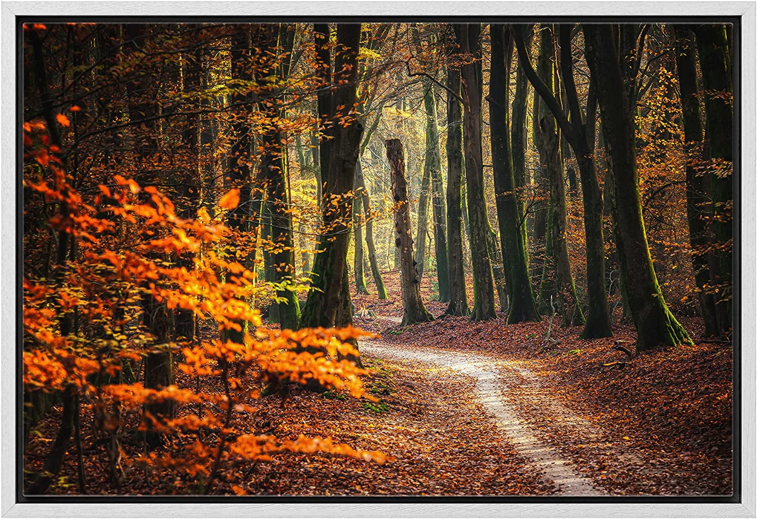 Framed Canvas Print Wall Art Autumn Fall Orange Leaf Forest Tree Trail Nature  Wilderness Photography Realism Earth Scenery Scenic Landscape for Living  Room, Bedroom, Office 16