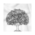 thumbnail image 1 of White Decorative Satin Napkins Set of 4, Garden Art Themed Engraved Style Drawing of Apple Tree with Ripe Fruits, Square Fabric Party & Dinner Napkin, 18", Charcoal Grey and White, by Ambesonne, 1 of 2