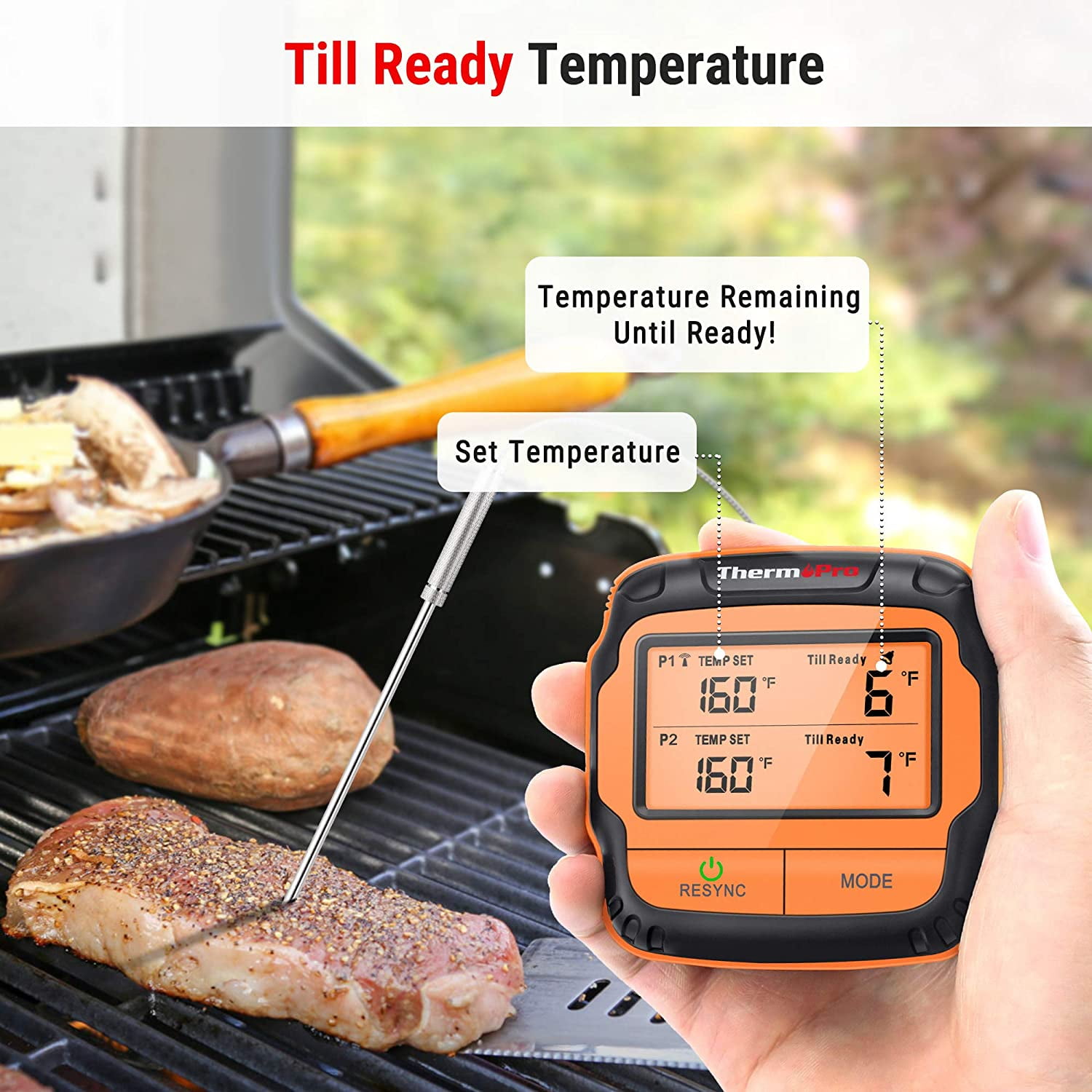 Thermopro Tp828bw Remote Meat Thermometer With Long Wireless Range And Dual  Stainless Steel Probes For Grilling Smoker Bbq Thermometer In Red : Target