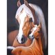 thumbnail image 1 of Wdftyju Pintura de diamante 5D caballo redondo completo imagen hecha a mano decoración del hogar (HJ061) Wdftyju 6jm2wd6wb3mp6fy6D04, 1 of 9