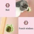 thumbnail image 4 of Catnip Squash Edible Cat Toys Cat Lick Ball Teeth Cleaning Catnip Toys for Cats, Natural, Fun and Engaging Play 3 Pack, 4 of 7