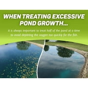 Tsunami DQ 1 Qt. Liquid 2 to 8 Qt./Acre Coverage Area Pond Weed Control 00137