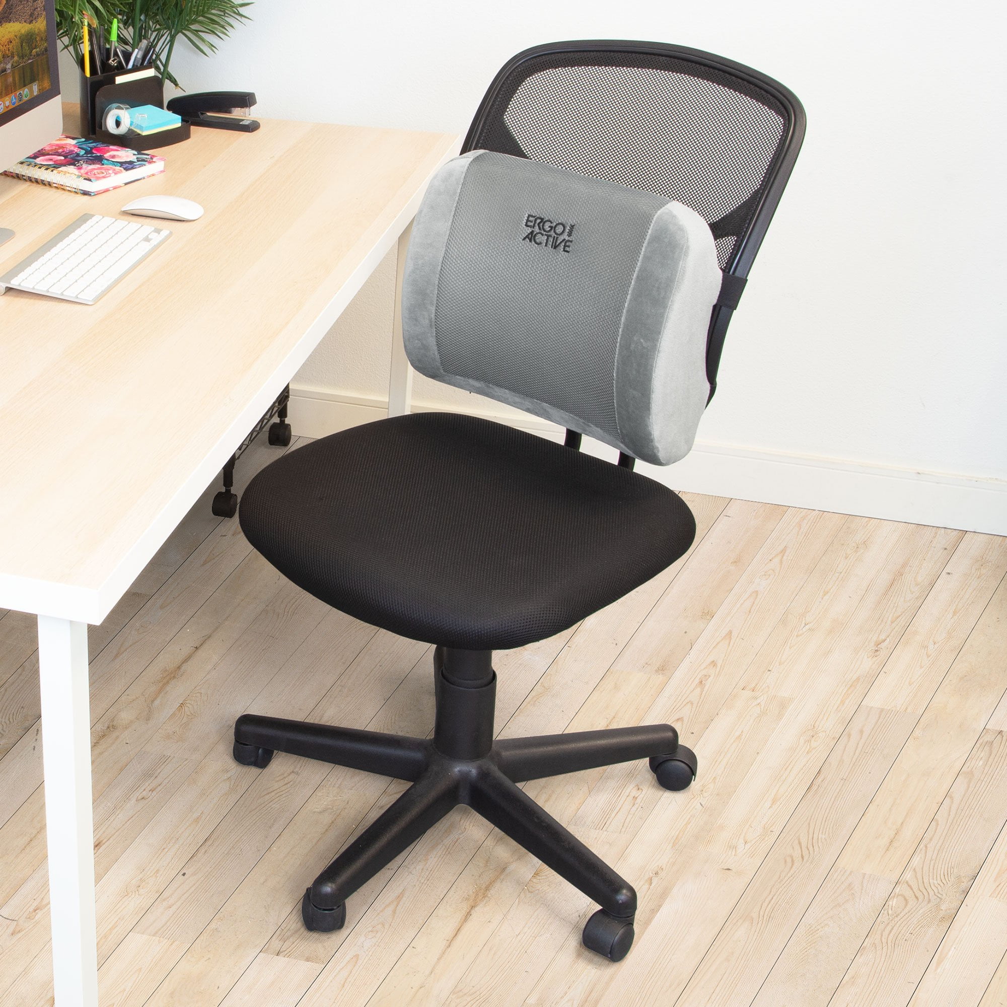 Why Should You Invest in a Lumbar Support Cushion for Your Office Chair? -  Ergo21