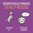 thumbnail image 2 of SENTRY Stop That!® Behavior Correction Spray for Dogs, 1 oz, 2 of 6