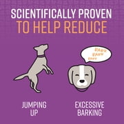 SENTRY Stop That!® Behavior Correction Spray for Dogs, 1 oz