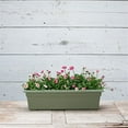 thumbnail image 4 of Root & Vessel Countryside Flower Box, Sage, 24", 4 of 6