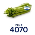 thumbnail image 7 of Fresh  Whole Celery, 1ea Premium Quality, Rich in antioxidants, 7 of 7