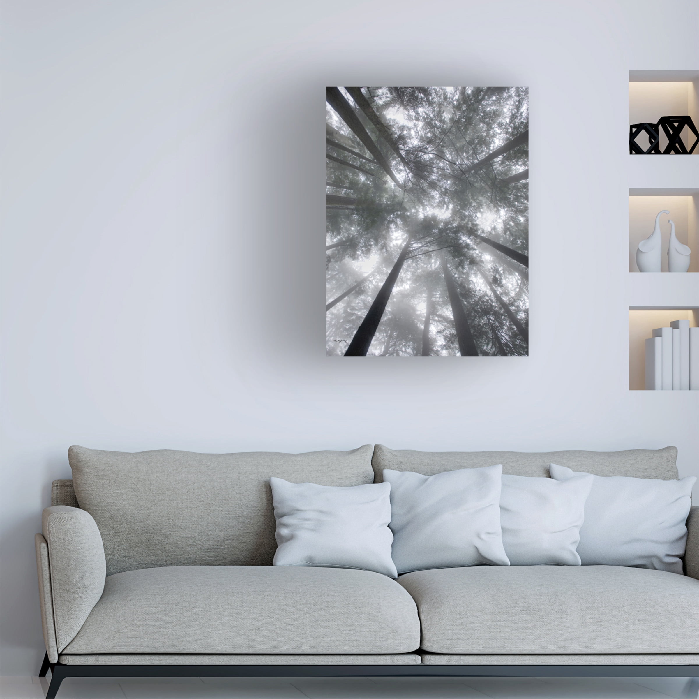 Alan Majchrowicz 'Fir Trees I' Canvas Art