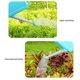 thumbnail image 4 of Regadera Para Plantas, Suministros de Jardinería de Gran Capacidad, Azul Cielo para Jardín Interior Y Exterior, 4 of 7