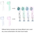 thumbnail image 4 of xianlin-Electric Toothbrush Head Storage Case + 4 PCS Toothbrush Head Covers for Oral B, 4 of 4
