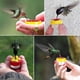 thumbnail image 4 of Alimentador de colibrí de mano, 4 unidades de mini alimentador de colibrí de mano con 4 cepillos de limpieza, comederos para suministros al aire libre, 4 of 5