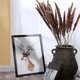 thumbnail image 4 of 60 uds hierba de pampa seca Natural, Phragmites Communis, planta de caña, ramo de flores de boda decoración del hogar flor Diy MFZFUKR 2027206, 4 of 9