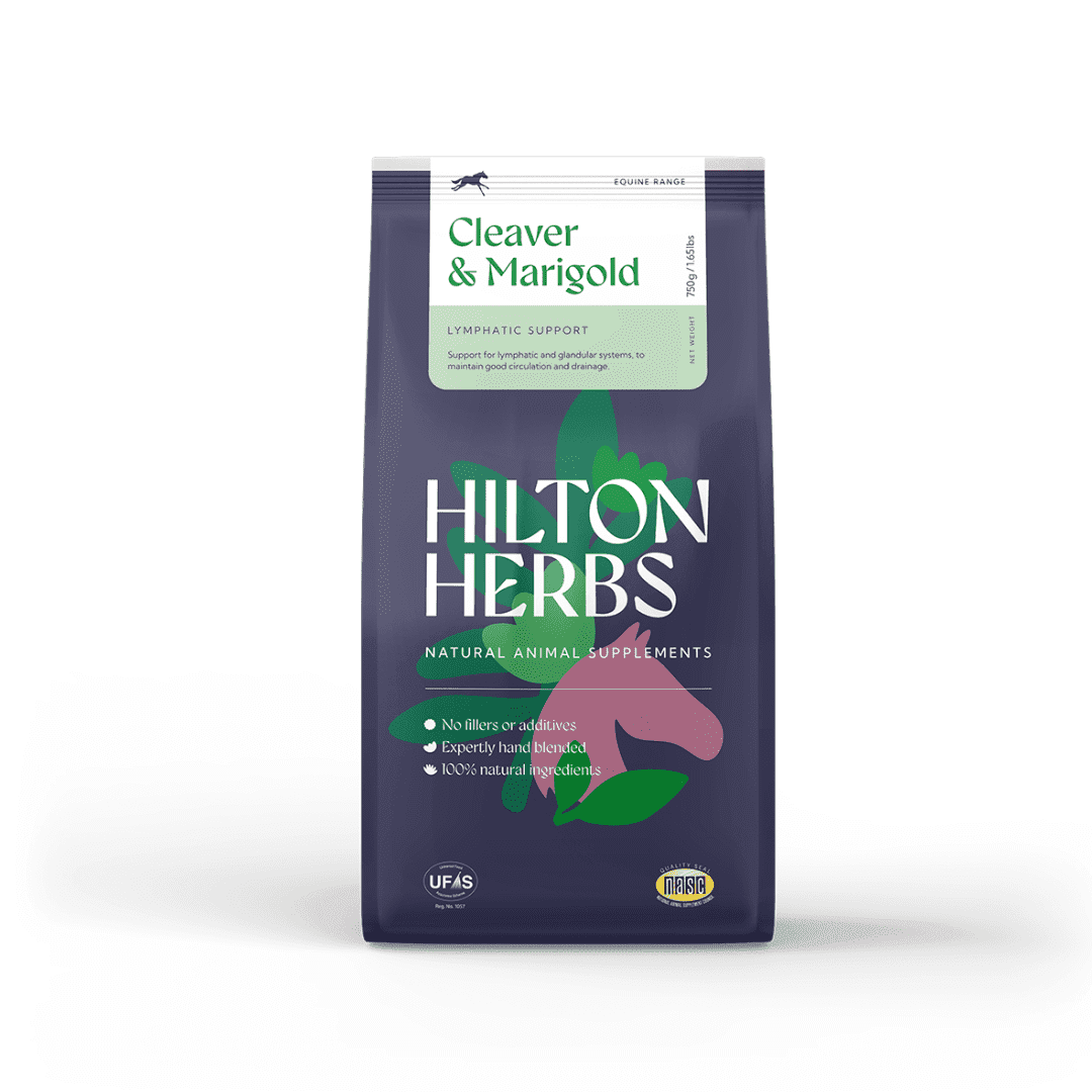 Hilton Herbs Cleavers & Marigold Herbal Horse Supplement for Skin & Coat, 1.65 lb