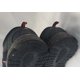 thumbnail image 5 of New Balance 430 Mens Size US 12 M430SS1 Sneakers Black & Orange, 5 of 6