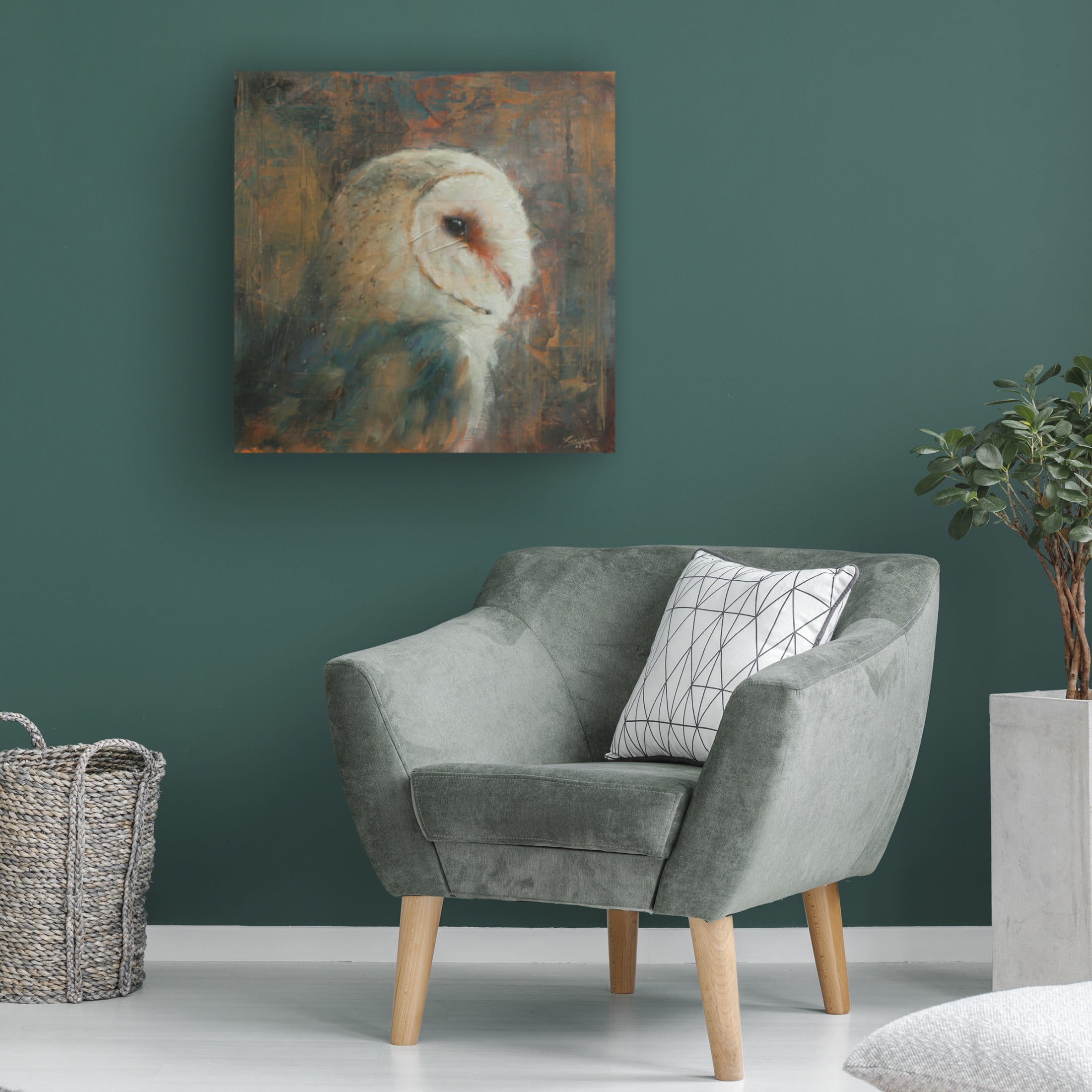 Canvas Wall Art - John Silver 'Barn Owl 1' Wall Art for Living Room, Bedroom, or Office Décor by Trademark Fine Art - 14 x 14 Inches