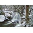 thumbnail image 2 of Majchrowicz, Alan 14x11 Black Ornate Wood Framed with Double Matting Museum Art Print Titled - Whatcom Falls after fresh dusting of winter snow Whatcom Falls City Park-Bellingham, 2 of 4