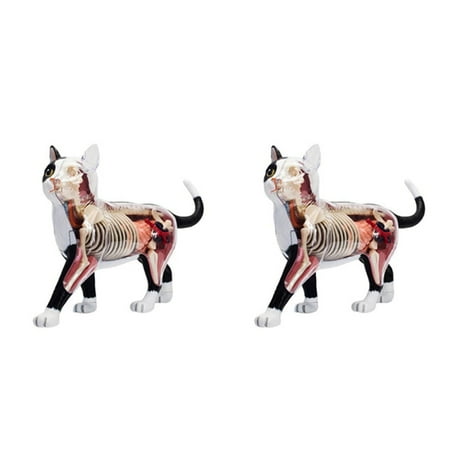 

2X Animal Anatomy Model 4D Intelligence Assembling Toy Teaching Anatomy Model DIY Appliances