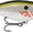 Bleeding Olive Flash, variant on Rapala Shad Rap 07 Crankbait Fishing Lure 2.75" 5/16 oz Bleeding Olive Flash