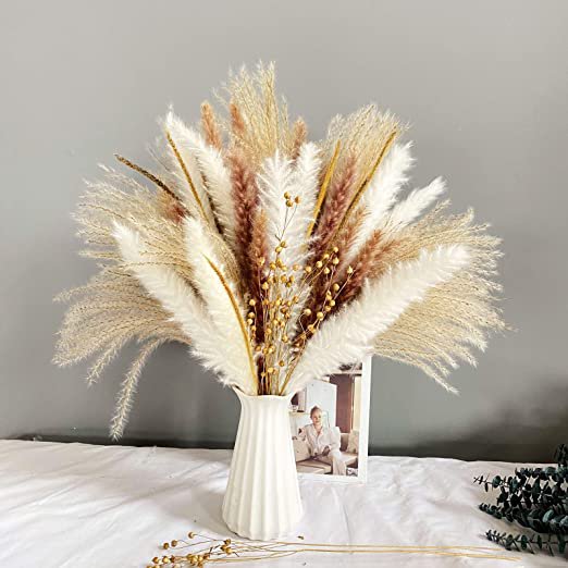 Jinsinto 90 Décorations de Fleurs Séchées 5 Types Bouquet de Fleurs Séchées Naturelles Bouquet de Pampa Blanche Décoration de Fleurs Boho pour Maison, Mariage, Fête