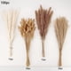 thumbnail image 2 of Flores Artificiales De Plástico 100 tallos de hierba de pampa seca con colas de conejo, juncos de cola de gato para decoración de mesa de boda bohemia (100 unidades) JASKFLY, 2 of 9