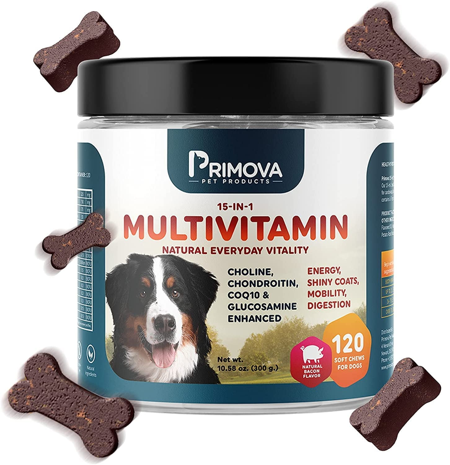 what is msm in dog supplements