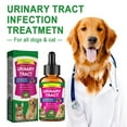 Cat & Dog Urinary Tract Infection Treatment & Natural Medicine