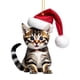 thumbnail image 2 of Colgante de coche de Navidad para gatos - Decoración colgante festiva para espejo retrovisor, mochila y hogar, adorno navideño rojo y verde, 2 of 7
