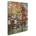 thumbnail image 2 of Trademark Fine Art 'Kaleidoscope II' Canvas Art by Julia Purinton, 2 of 3