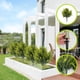 thumbnail image 1 of Guantes de jardinería resistentes y protectores para exteriores | Material duradero para sujetar y manipular plantas y herramientas | Ideales para jardinería, paisajismo y jardinería., 1 of 6