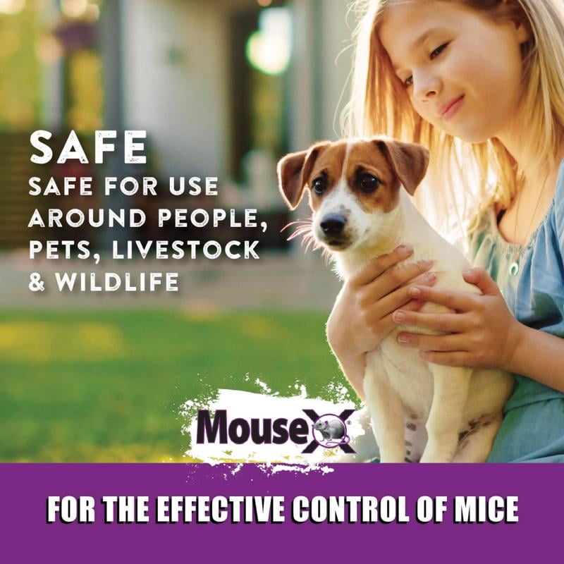 MouseX Mouse Killer Pellets, 1 lb, Non Toxic Formula Safe for People, Pets and Wildlife