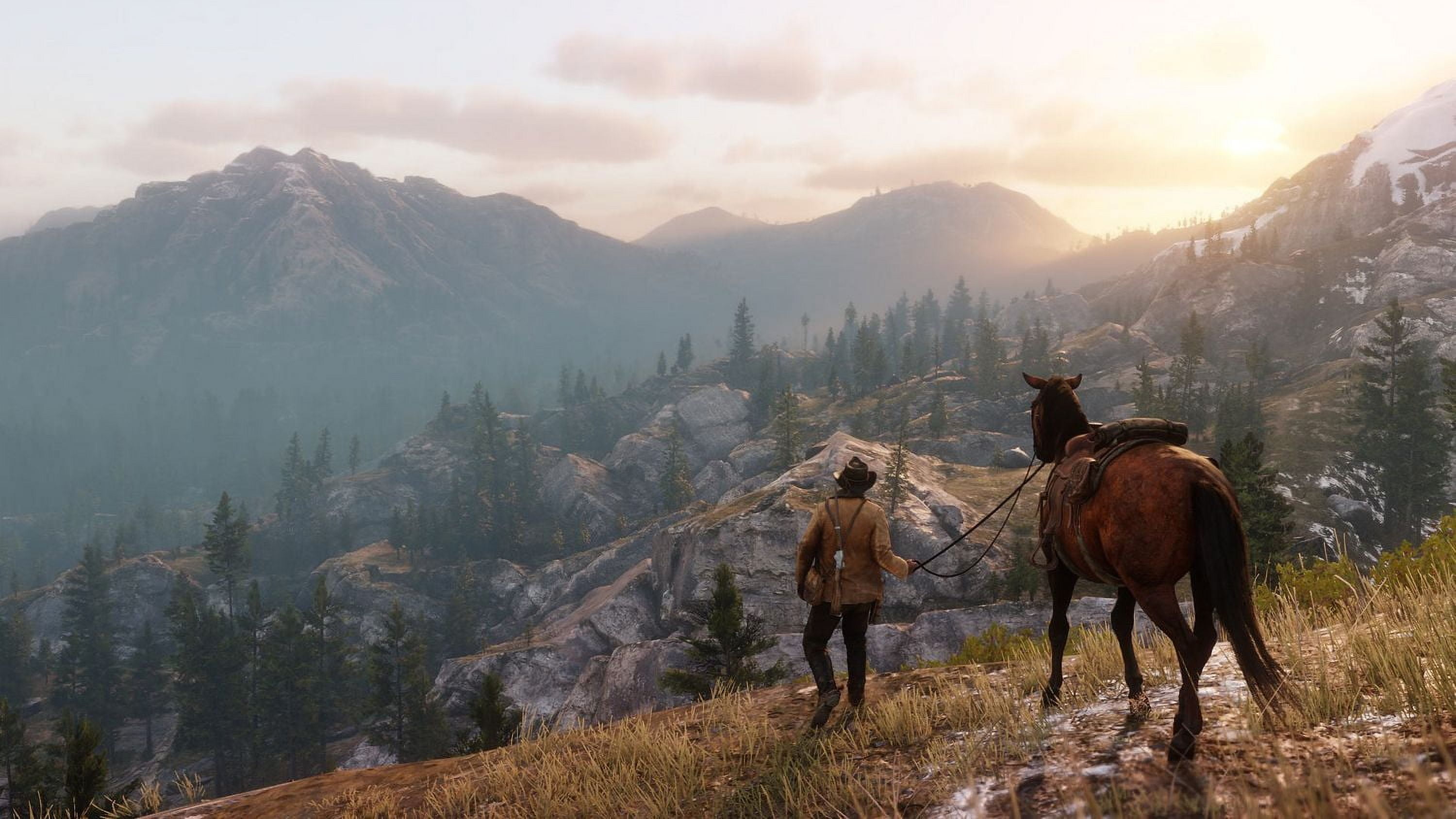 Red Dead Redemption 2 (Xbox One), Xbox One