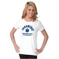 thumbnail image 3 of Paramedic Badass Life Saver EMT Womens Fitted Plus Size Graphic Tee Brisco Brands 2X, 3 of 5