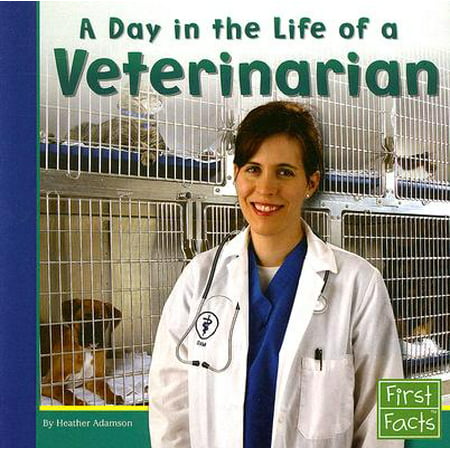 A Day in the Life of a Veterinarian (Best Veterinarian School In The United States)